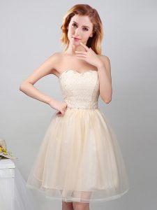 Nice Champagne Sleeveless Mini Length Lace and Appliques Lace Up Quinceanera Court of Honor Dress