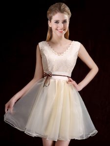 Gorgeous Champagne Lace Up V-neck Lace and Appliques and Belt Dama Dress for Quinceanera Organza Sleeveless