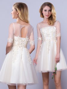 Artistic Scoop Appliques Dama Dress Champagne Lace Up Half Sleeves Mini Length