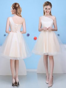Sweet One Shoulder Champagne A-line Bowknot Dama Dress Lace Up Tulle Sleeveless Knee Length
