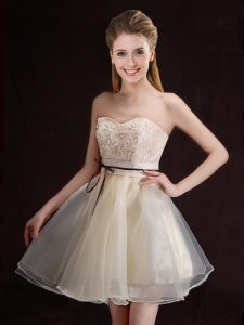 Nice Sleeveless Mini Length Appliques and Belt Lace Up Damas Dress with Champagne