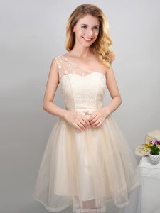 One Shoulder Mini Length A-line Sleeveless Champagne Dama Dress for Quinceanera Lace Up