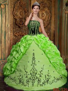 Spring Green Lace-up Long Quinces Dresses with Embroidery and Pick-ups
