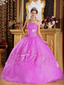 Rose Pink Strapless Floor-length Quinces Dresses with Appliques in Denton