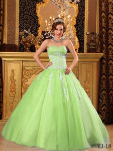 Bright Yellow Green Sweetheart Long Quince Dress with Appliques in Erie
