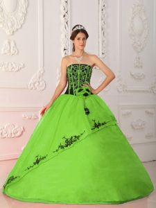 Strapless Floor-Length Appliqued Quinceanera Dress in Green with Flower in Nantes