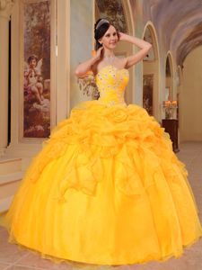 Appliqued Yellow Sweetheart Princess Quinceanera Gown Dresses with Pick-ups