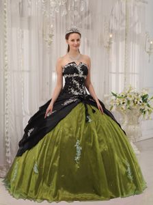 Appliqued Black and Olive Green Sweet Sixteen Dresses with Lace Up in Elkhart