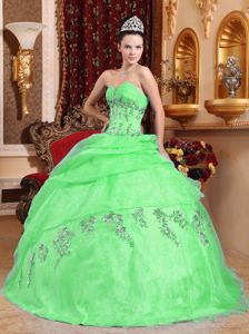 Apple Green Sweetheart Princess Sweet Sixteen Quinceanera Dress with Appliques