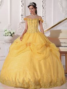 Off The Shoulder Princess Quince Dresses in Golden with Flowers and Pick-ups