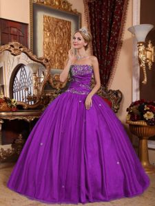 Strapless Floor-length Quinceanera Dresses in Eggplant Purple with Embroidery
