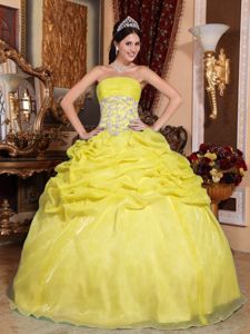 Yellow Strapless Floor-length Organza Sweet 16 Dress with Ruches in Franklin