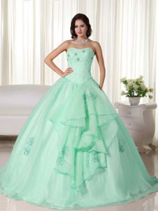 Strapless Floor-length Apple Green Quince Dresses with Embroidery in Gilman