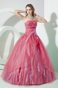 Appliqued Strapless Organza Sweet 16 Dresses in Floor-length in Watermelon