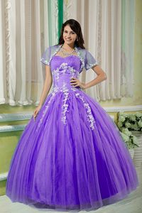Purple Sweetheart Floor-length Quinceanera Gown with Appliques in Castana