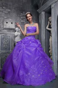 New Arrival Strapless Appliqued Purple Quince Dresses in Warnes Bolivia