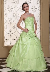 Discount Yellow Green Quinceaneras Dress with Flower in Warnes Bolivia