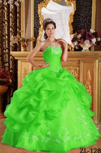 Fast Shipping Strapless Pick-ups Spring Green Quince Dresses in Troy USA