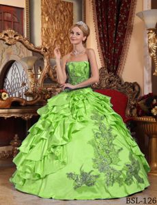 Unique Appliqued Ruffled Spring Green Quinceanera Dresses Shop