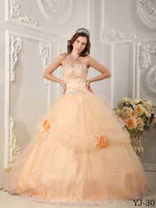 Unique Sweetheart Organza Appliqued Orange Quinceanera Gown with Flowers
