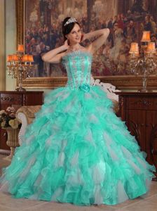 Apple Green Strapless Organza Quinceanera Dress with Appliques in Olympia