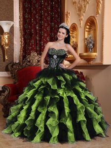 Sweetheart Organza Quinceanera Gown Dress with Beading in Lynnwood WA