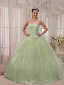 Apple Green Sweetheart Quinceanera Gowns with Beading in Port Townsend WA