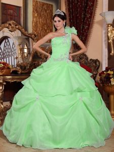 Green One Shoulder Floor-length Quinceanera Dress with Appliques in Victoria