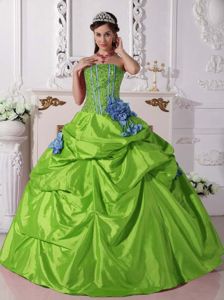 Strapless Taffeta Beaded Quinceanera Dress with Hand Flowers in Carrollton