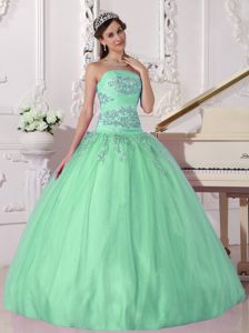Strapless Taffeta and Tulle Beaded Quinceanera Dress in Apple Green in Denton