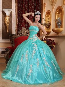 Strapless Organza Quinceanera Gown Dresses with Appliques in Dallas