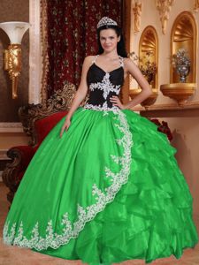 V-neck Floor-length Appliqued Quinceanera Dress in Spring Green in Greenville
