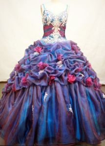 Multi-color Strap Appliques and Pick-ups Quince Dress in Carepa Colombia