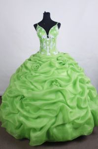 Appliques Pick-ups Straps Green Quinceanera Dresses in Maicao Colombia