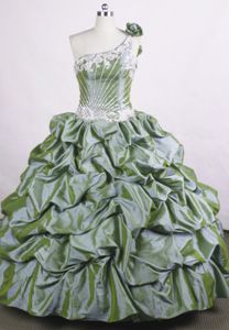 Flowers One Shoulder Dresses For Quinceanera in Lugano Switzerland