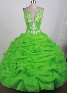 Spaghetti Straps Pick-ups Spring Green Sweet 16 Quince Dresses Online