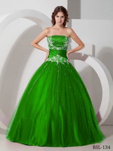 Paillettes and Appliques Green Dress For Quinceanera in Richland Center