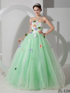 Apple Green Quinceanera Dresses with Floral Embellishment in Douglas WY