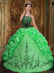 Black and Green Pick and Embroidery Decorated Sweet 15 Dresses in Salem