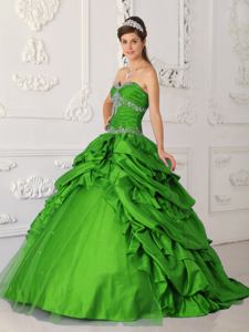 Embroidery Ruching and Pick Ups Green Quinceanera Gowns in Parkersburg