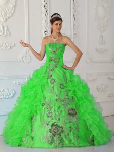 Exquisite Strapless Embroidery Green Quinceanera Gown Dress in Ogden