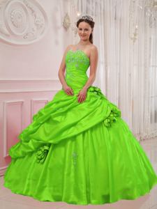 Sweetheart Appliques Spring Green Taffeta Quinceanera Dress in Logan UT