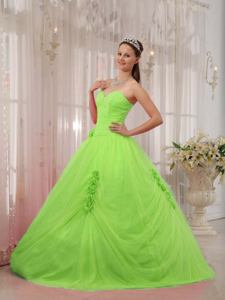 Spring Green Sweetheart Beaded A-line Dress For Quinceanera in The Woodlands