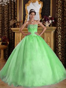 Lovely Princess Spring Green Sweetheart Beaded Organza Quinceanera Dresses