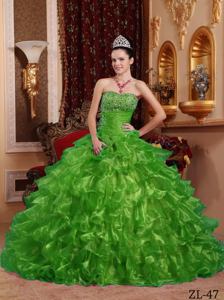 Ball Gown Organza Beaded Strapless Green Quinceanera Dress 2013 Hot Sale