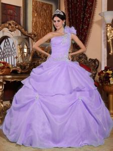 Lilac Single Shoulder Appliques Organza Quinceanera Ball Gown in Sioux Falls