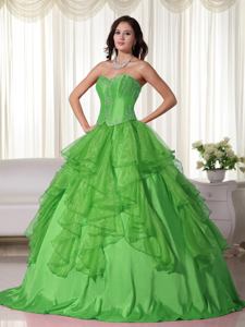 Green Sweetheart Floor-length Organza Embroidery Quinceanera Ball Gown
