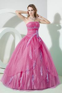 Fuchsia Ball Gown Strapless Organza Beading and Embroidery Quinceanera Dress
