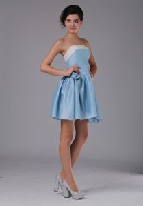 Cute Zipper-up Light Blue Strapless Short Cocktail Dresses For Dama in Union