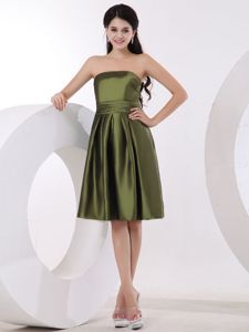 Low Price Strapless Olive Green Knee-length Party Dama Dress in Plymouth